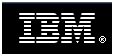 Partner IBM Logo